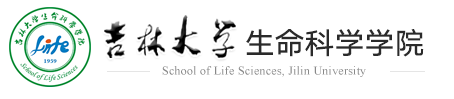 365英国上市集团